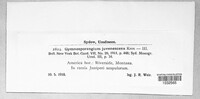 Gymnosporangium nidus-avis image